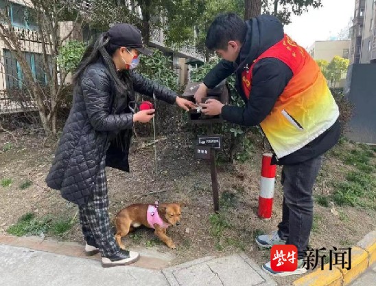 向不文明养犬行为说不，南通崇川区启动文明养犬集中收容行动