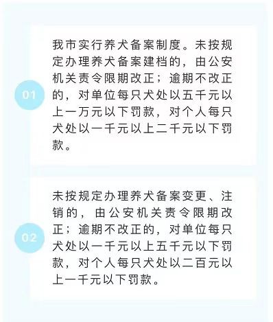 省时省力！东莞铲屎官们养犬备案线上办理戳这里→